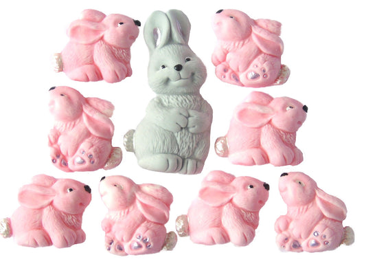Grey Mum Rabbit 6 pink baby rabbits